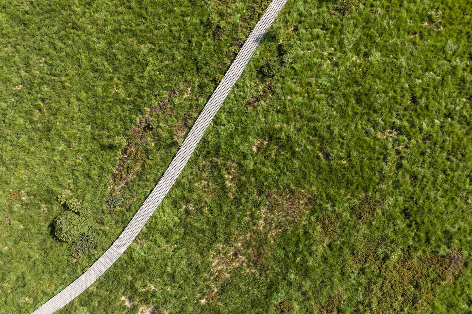Caillebotis dans les Hautes-Fagnes à la Baraque Michel